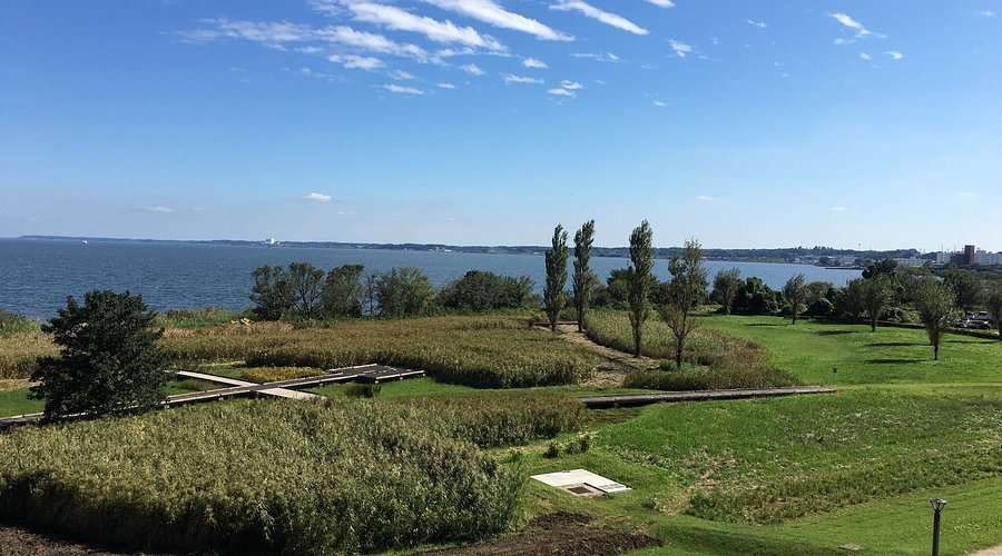 🔬 이바라키현 가스미가우라 환경과학센터 (이바라키켄카스미가우라칸쿄카가쿠센터) 이미지 6